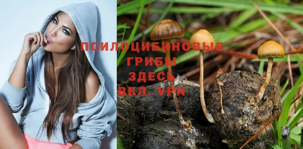 винт Куйбышев