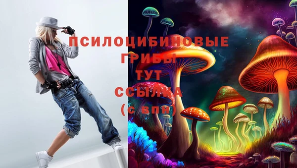 мет Кукмор