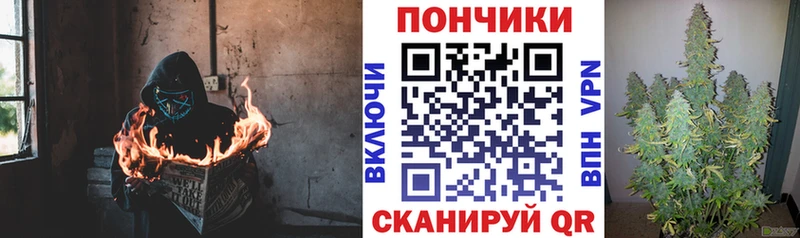Купить где  Новоульяновск  Бошки марихуана OG Kush 